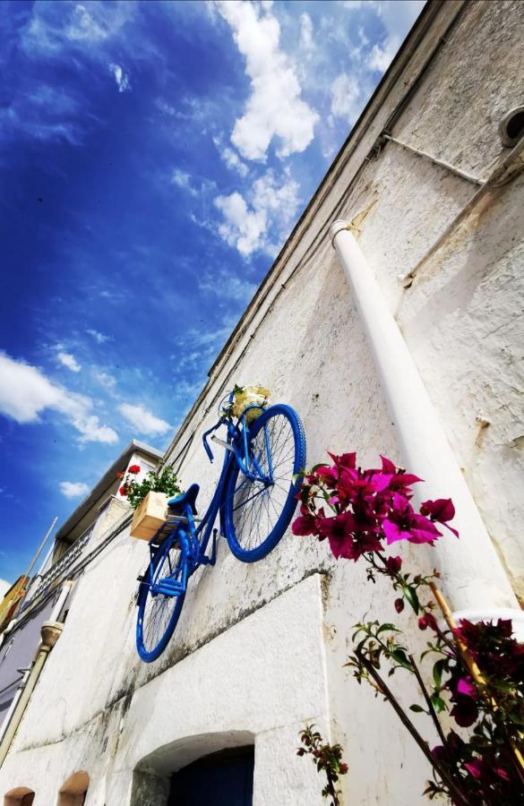 Casa Levante Canosa di Puglia Exterior photo