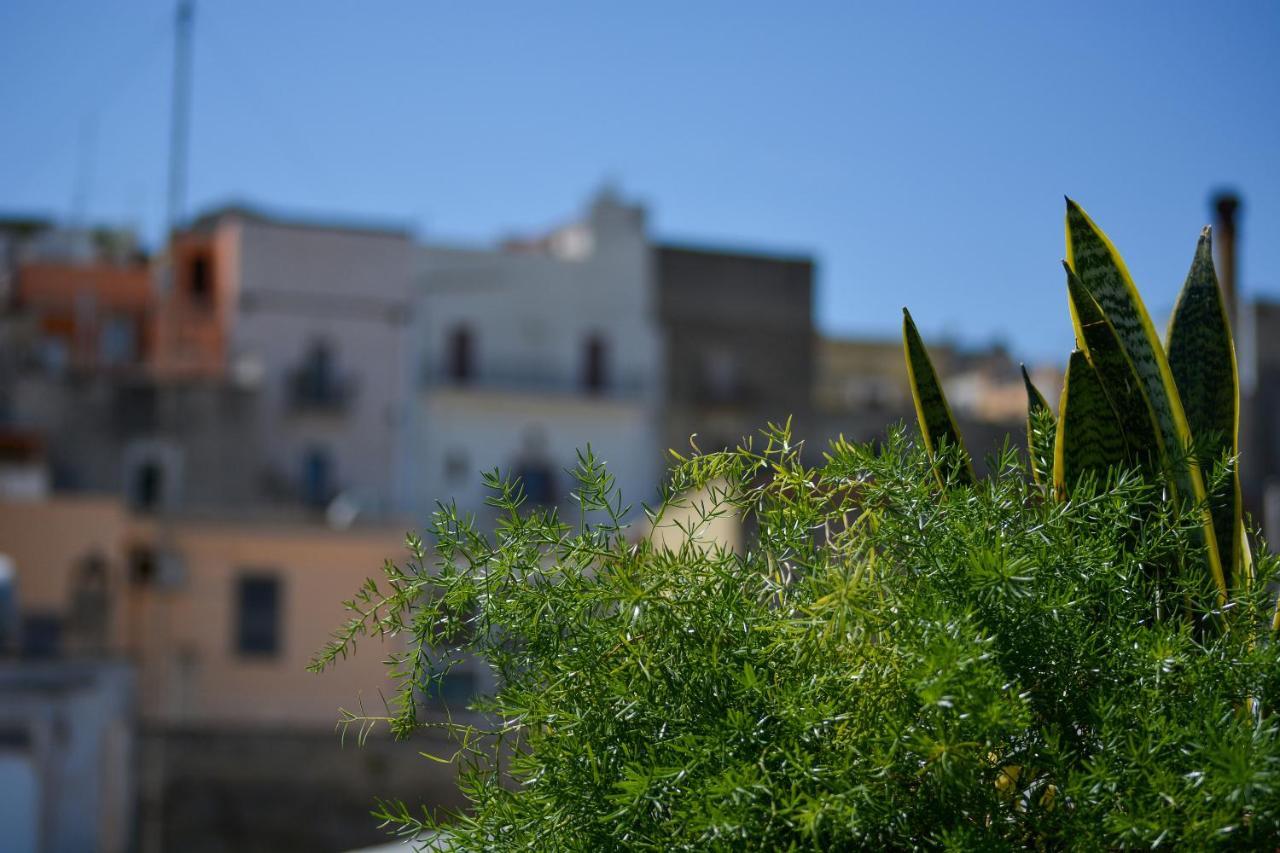 Casa Levante Canosa di Puglia Exterior photo